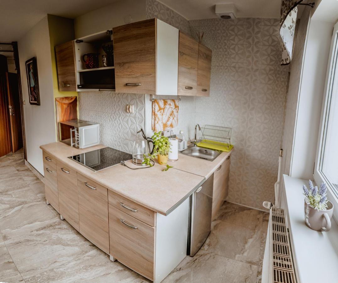 בוקוווינה טטז'אנסקה Apartament Gazdowski מראה חיצוני תמונה