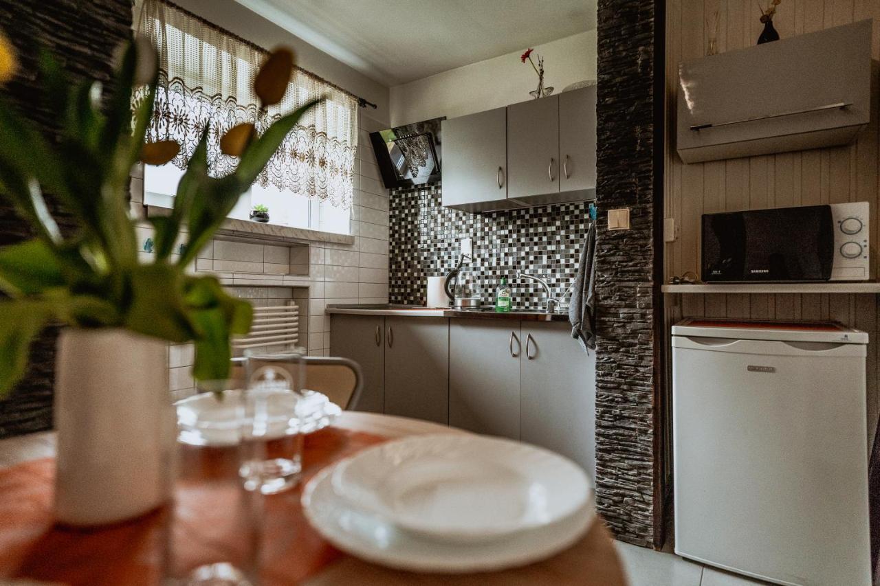 בוקוווינה טטז'אנסקה Apartament Gazdowski מראה חיצוני תמונה